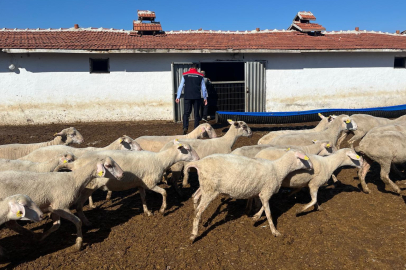 İl Müdürü Mehmet Aksoy, Çorlu’daki Hayvan İşletmesini Ziyaret Etti