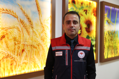 Edirne'de Ayçiçeğinden İstediği Verimi Alamayan Çok Sayıda Üretici Kanolaya Yöneldi