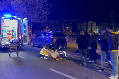 Park Halindeki Otomobile Çarpan 15 Yaşındaki Motosikletli Yaralandı