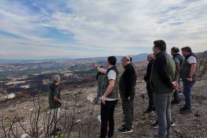 Çanakkale'de Yangınlardan Zarar Gören Alanlar Yeniden Ormana Dönüşecek