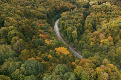 Istranca Ormanları Sonbahar Renklerine Büründü