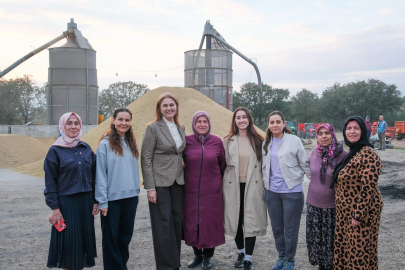 Belgin İba, Salarlı Köyü’nde Çeltik Hasadına Katıldı