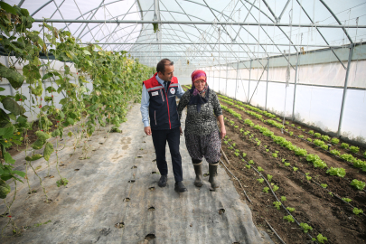 Edirneli Şirin Teyze İkinci Serasına Kavuşuyor