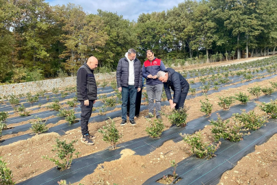 Pınarhisar Kaymakamı Natural Botanik Tarlalarını Ziyaret Etti