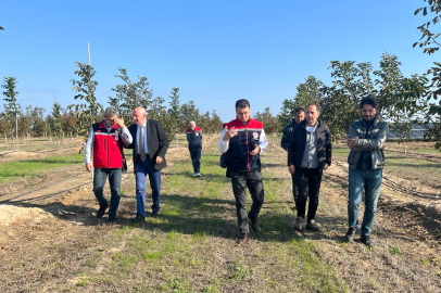 Tekirdağ’da Özel Ağaçlandırma Kapsamında Ceviz Bahçesi Ziyareti