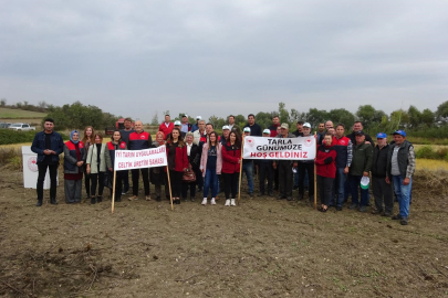 Babaeski'de Çeltik Tarla Günü Etkinliği Düzenlendi