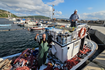 Çanakkaleli Balıkçının Lüfer İçin Attığı Ağlara 1000 Palamut Takıldı