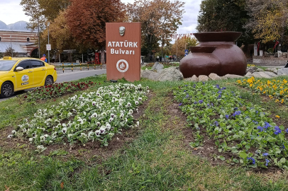 Edirne Sonbaharı Renkli Çiçeklerle Karşılıyor