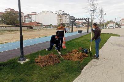 Saray Belediyesi’nden Yeşil Alanlarda Yoğun Çalışma