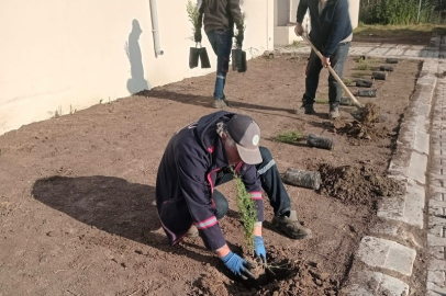 Kapaklı’da Sokak Hayvanları Alanları Güzelleştiriliyor