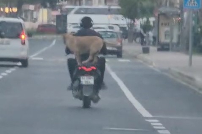 Çanakkale'de Motor Artçısı Görenleri Hem Şaşırttı Hem Neşelendirdi