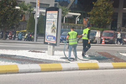 Edirne'de Tepki Çeken Çim Sınırlayıcıları Sökülüyor