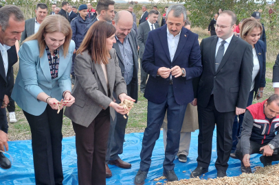 Meriç'te Fıstık Festivali Başladı