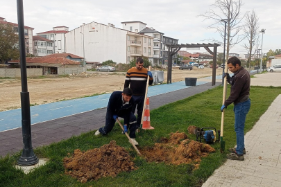 Saray’da Yeşil Alan Çalışmaları Sürüyor