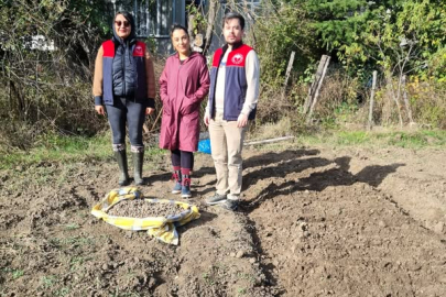 Vize’de Salep Ekim Çalışmaları Gerçekleştirildi