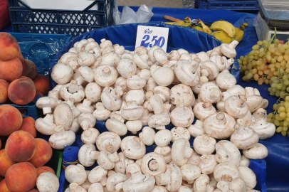 Edirne Pazarı’nda Zirve Fiyat Mantarın