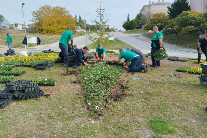 Eski TOKİ’deki Kavşaklara Çiçek Ekildi