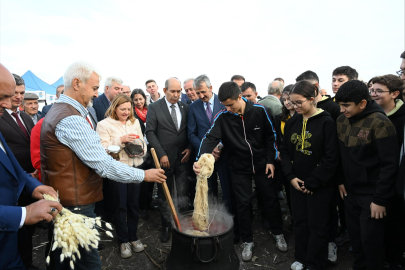 Edirne Kırmızısı’nda Hasat Zamanı