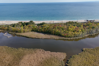 Kırklareli'nin Longoz ve Istranca Ormanları Sonbaharın Renklerine Büründü
