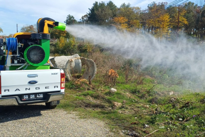 Saray’da Sivrisineklerle Mücadele Sürüyor