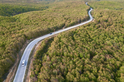 Tekirdağ'da Ormanlarda Sonbahar Renkleri Hakim Oldu
