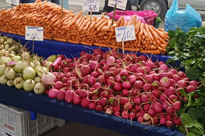 Edirne'de Turp Bolluğu