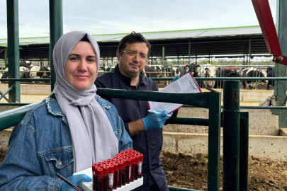 Lüleburgaz’da Ari Hayvancılık İşletmelerinde Kan Numunesi Kontrolleri Yapıldı