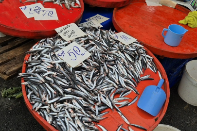 Tekirdağ'da Hamsinin Kilosu 50 Liraya Kadar Düştü