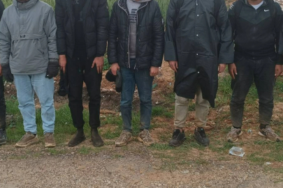 Edirne'de 23 Düzensiz Göçmen Yakalandı