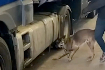 Kapıkule ve İpsala Gümrük Kapılarındaki Operasyonlarda 525 Kilogram Uyuşturucuya El Konuldu