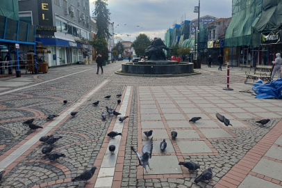 Edirne’de 1 Kasım Cumartesi Hava Durumu