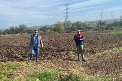 Vize’de Safran Hasadı Başladı