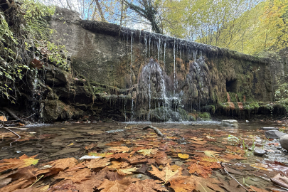 Tekirdağ'da Sonbahar Renklerine Bürünen Ormanlar Doğa Tutkunlarını Bekliyor
