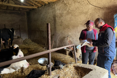 Edirne’de 2025 Yılı Hayvancılık İşletme Denetimleri Tamamlandı