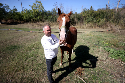 Erken Teşhisle Kanseri Yenen Eski Jokey, Köyünde Şampiyon Atlar Yetiştiriyor