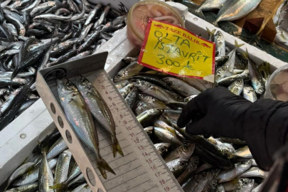 Tekirdağ’da Balık Tezgahlarına Sıkı Denetim: Boy Ölçümleriyle Sürdürülebilir Avcılığa Destek