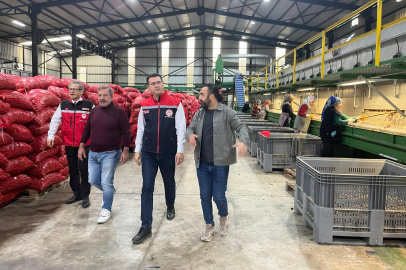 Tekirdağ’da Ceviz Üretim Tesisine Ziyaret