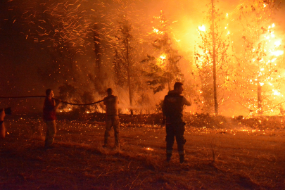 Çanakkale'de 2025 Yılında 11 Bin 868 Futbol Sahası Büyüklüğünde Orman Alanı Zarar Gördü