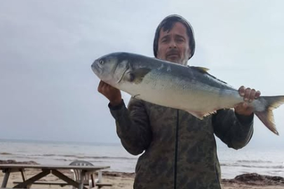 Gelibolulu Amatör Balıkçı 5 Kilogramlık Kofana Yakaladı
