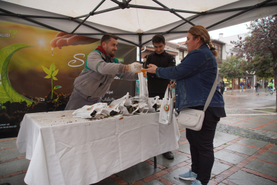 Edirne'de 1000 Ihlamur Fidanı Dağıtıldı