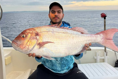 Çanakkale'de Balıkçılar 12 Kilogramlık Mercan Balığı Yakaladı