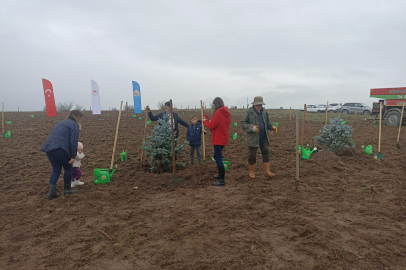 Havsa'da "Yeşil Vatan" Seferberliği