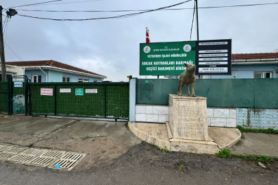 Vahşi Toplama Görüntülerine Belediye Soruşturma Açtı