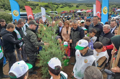 Yangınlarda Zarar Gören Alanlara 1 Milyon Yeni Ağaç
