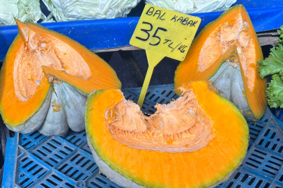 Edirne’de Balkabağı Dönemi