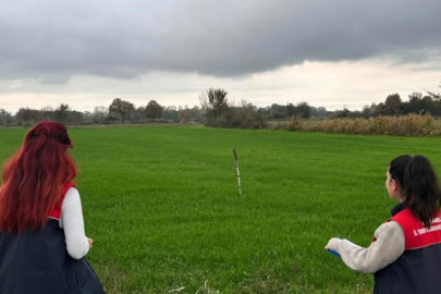 Pehlivanköy’de Buğday Ekim Alanlarında Kontrol Çalışması