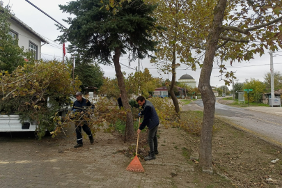 Saray Belediyesi Ekiplerinden Yoğun Park ve Bahçe Çalışmaları