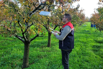 Edirne’de Meyve Bahçelerinde Tuzak Kontrolleri Sürüyor