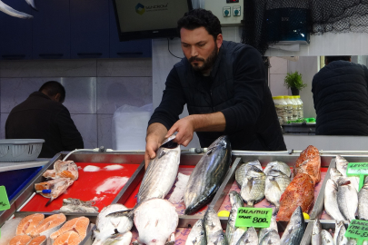Hamsi Denizlerde Yüzünü Gösterdi Tezgahlarda Fiyatını Korudu