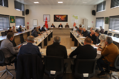 Kırklareli İl Genel Meclisi "Yayla Mahallesi Sokak Sağlıklaştırma" Projesi Desteğini Değerlendirecek